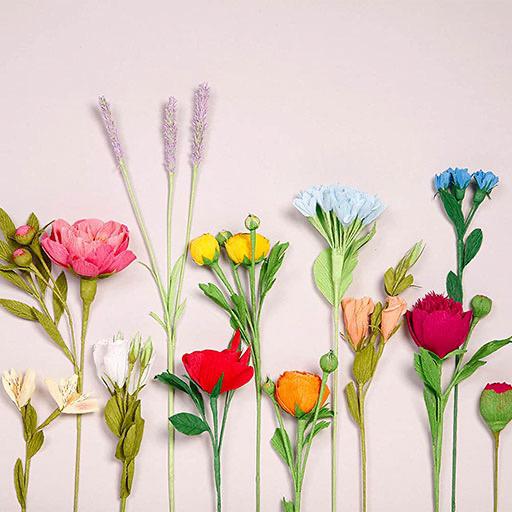 CLAIREFONTAINE Florist Bright Crepe Paper Roll 25cm x 100cm x 10