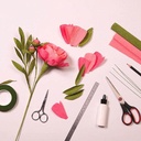 CLAIREFONTAINE Florist Pastel Crepe Paper Roll 25cm x 100cm x 10