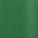 CLAIREFONTAINE Tissue Paper 18gsm 50cm x 75cm x 24 Meadow Green