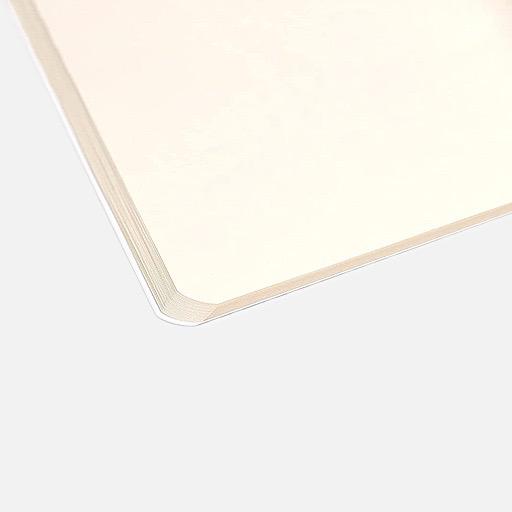 CLAIREFONTAINE Triomphe Platinum Blank Notebook 90gsm A4 x 48