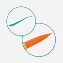 COLOR FACTORY Deluxe Taklon Round Brush Set x 5