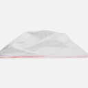 DELI Zip Lock Bag 24cm x 34cm x 100