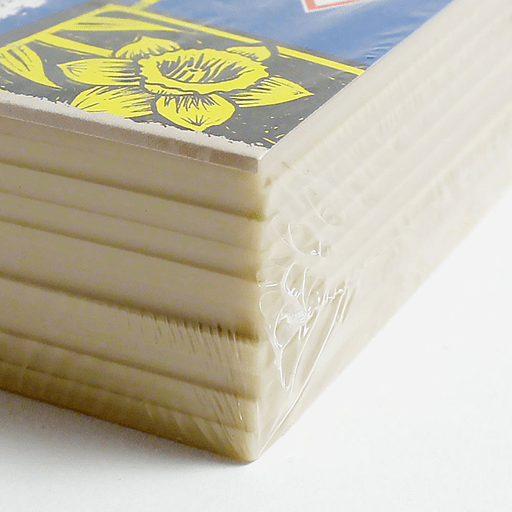 ESSDEE Softcut Carving Block 3mm x 10cm x 15cm x 10