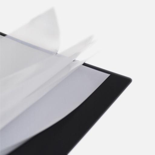 GOLDLION 40-Sheet Clear Book A4