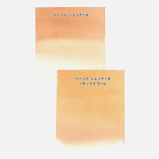 HOLBEIN Ox Gall 60ml