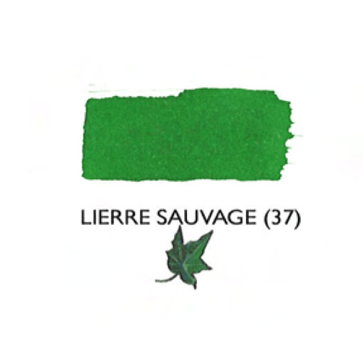 JACQUES HERBIN Fountain Pen Ink 30ml WIld Ivy Green (Lierre Sauvage)