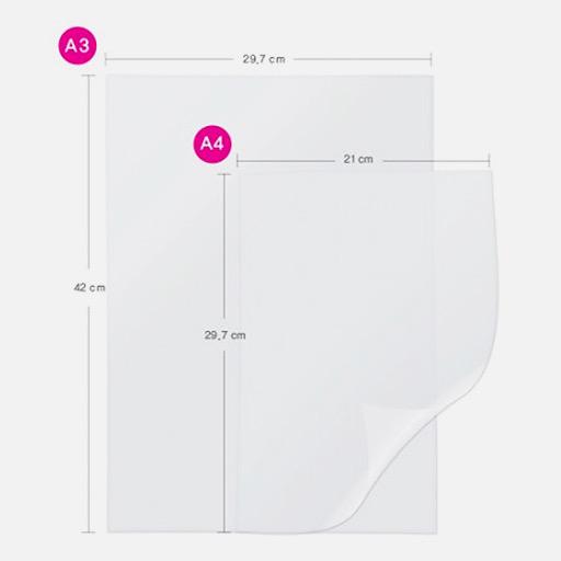 JONGIE OHP Film 100mic A3 x 100