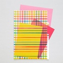 MIDORI 3-Pocket Clear Folder Plaid
