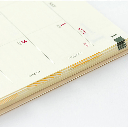 MIDORI Chiratto Index Label Pattern Gold