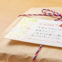 MIDORI Transfer Sticker Watercolor Patterns