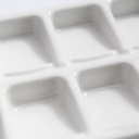 OVJ 20-Well Porcelaine Palette