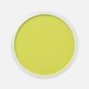 PANPASTEL Artist Pastel Bright Yellow Green