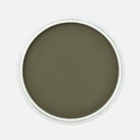 PANPASTEL Artist Pastel Bright Yellow Green Extra Dark