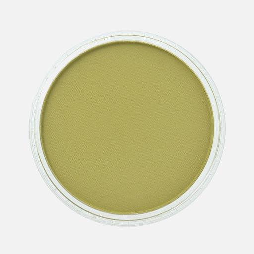 PANPASTEL Artist Pastel Bright Yellow Green Shade