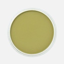 PANPASTEL Artist Pastel Bright Yellow Green Shade
