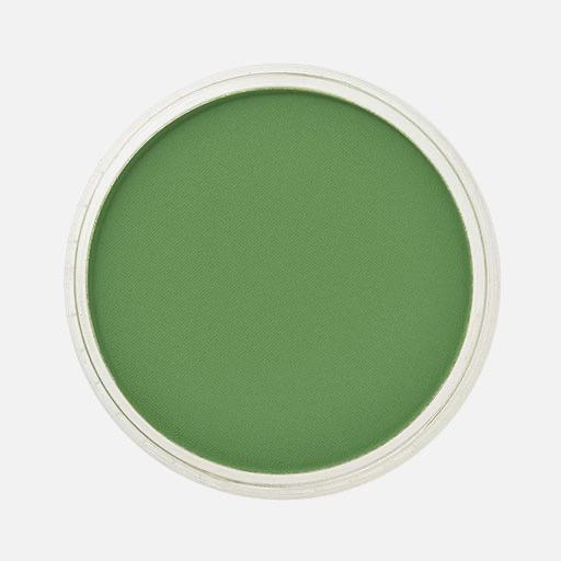 PANPASTEL Artist Pastel Chromium Oxide Green