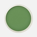PANPASTEL Artist Pastel Chromium Oxide Green