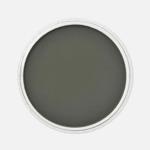 PANPASTEL Artist Pastel Chromium Oxide Green Extra Dark