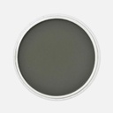 PANPASTEL Artist Pastel Chromium Oxide Green Extra Dark