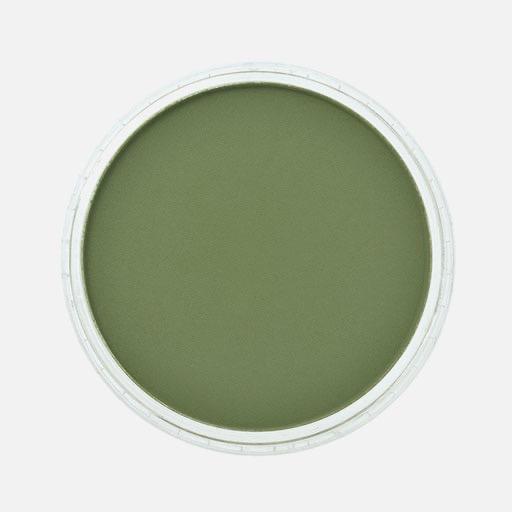 PANPASTEL Artist Pastel Chromium Oxide Green Shade