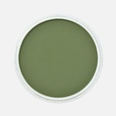 PANPASTEL Artist Pastel Chromium Oxide Green Shade