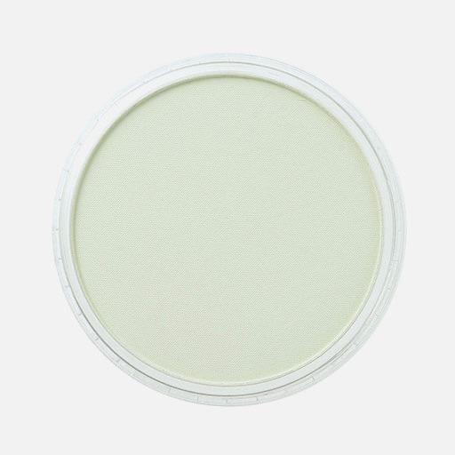 PANPASTEL Artist Pastel Chromium Oxide Green Tint