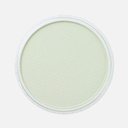 PANPASTEL Artist Pastel Chromium Oxide Green Tint