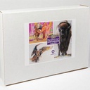 PANPASTEL Artist Pastel Dawn Emerson Collection Set x 40