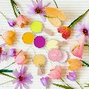 PANPASTEL Artist Pastel Lia Griggith Set x 7