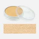 PANPASTEL Artist Pastel Light Gold