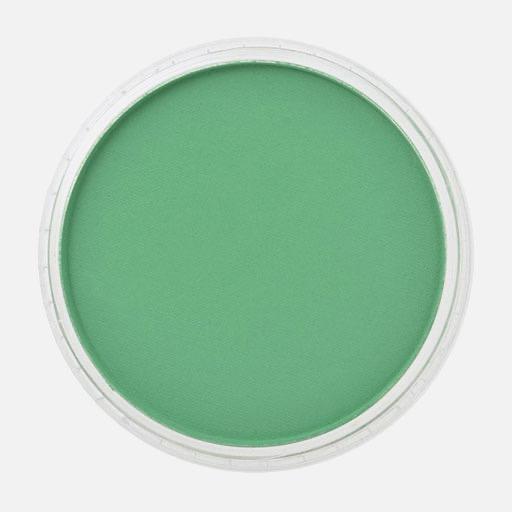 PANPASTEL Artist Pastel Permanent Green