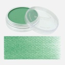 PANPASTEL Artist Pastel Permanent Green