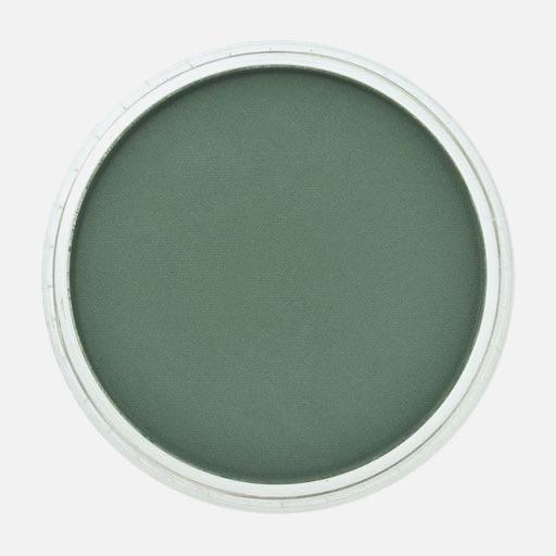 PANPASTEL Artist Pastel Permanent Green Extra Dark