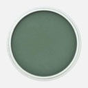 PANPASTEL Artist Pastel Permanent Green Extra Dark