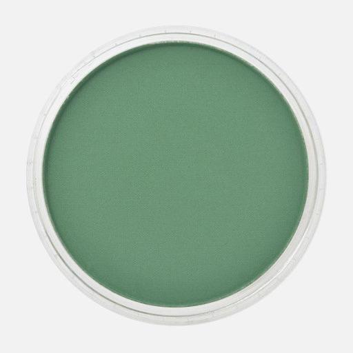 PANPASTEL Artist Pastel Permanent Green Shade
