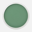PANPASTEL Artist Pastel Permanent Green Shade