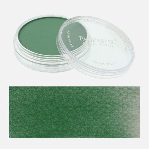 PANPASTEL Artist Pastel Permanent Green Shade
