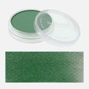 PANPASTEL Artist Pastel Permanent Green Shade