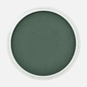 PANPASTEL Artist Pastel Phthalo Green Extra Dark