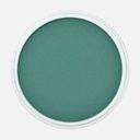 PANPASTEL Artist Pastel Phthalo Green Shade