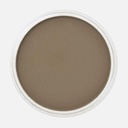 PANPASTEL Artist Pastel Raw Umber
