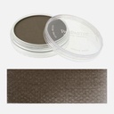 PANPASTEL Artist Pastel Raw Umber Shade