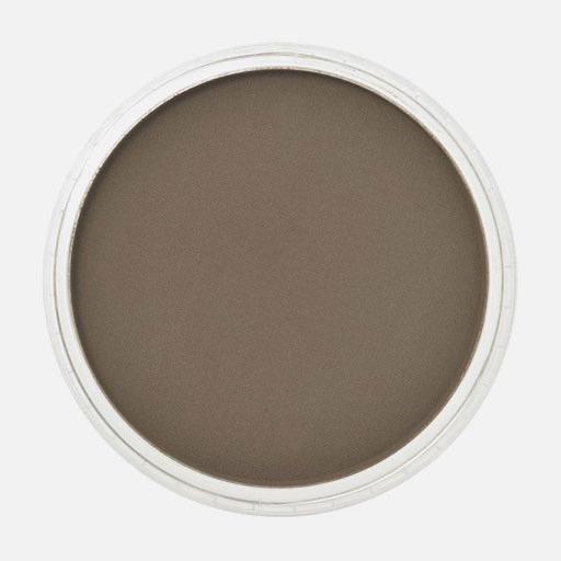 PANPASTEL Artist Pastel Raw Umber Shade