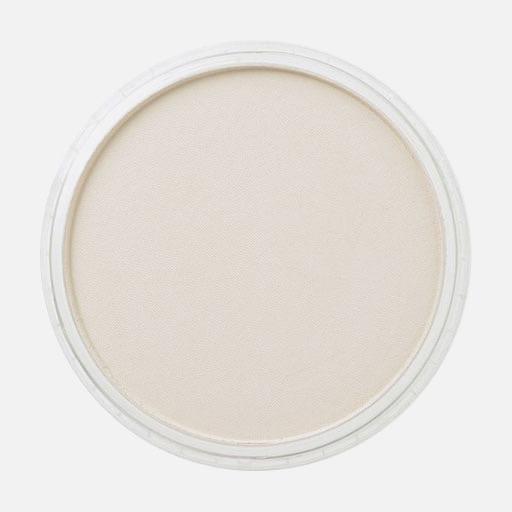 PANPASTEL Artist Pastel Raw Umber Tint