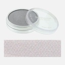 PANPASTEL Artist Pastel Silver