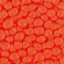 PEBEO Fantasy Prisme Honeycomb Paint 45ml 12 Vermilion