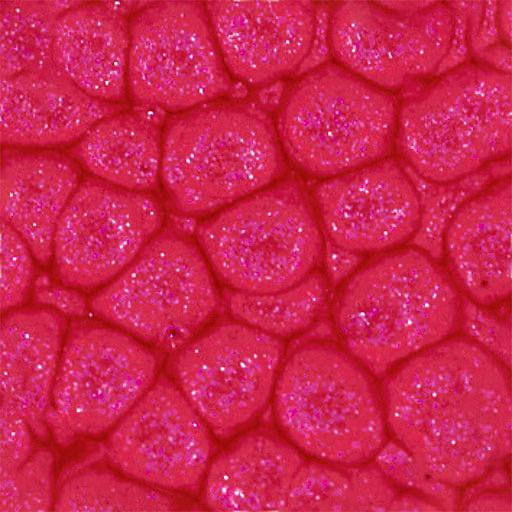 PEBEO Fantasy Prisme Honeycomb Paint 45ml 13 English Red