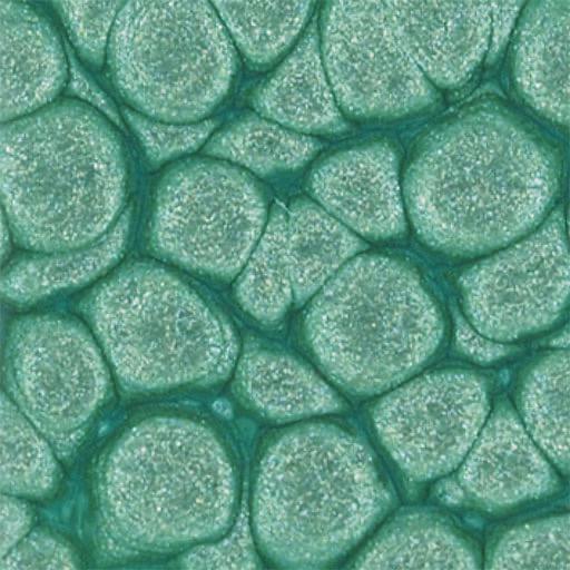 PEBEO Fantasy Prisme Honeycomb Paint 45ml 17 Almond Green