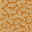 PEBEO Fantasy Prisme Honeycomb Paint 45ml 23 Summer Yellow