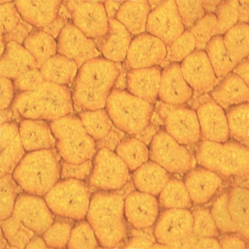 PEBEO Fantasy Prisme Honeycomb Paint 45ml 24 Buttercup